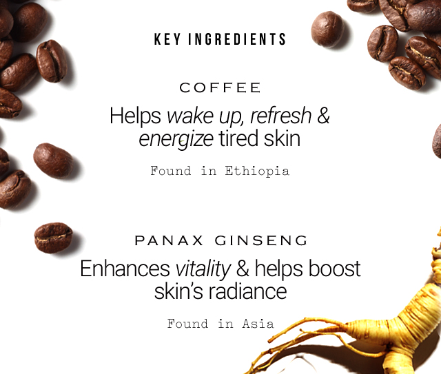 KEY INGREDIENTS